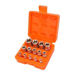 Juego De Dados E-torx Hembra 14pzas CFH-B06007